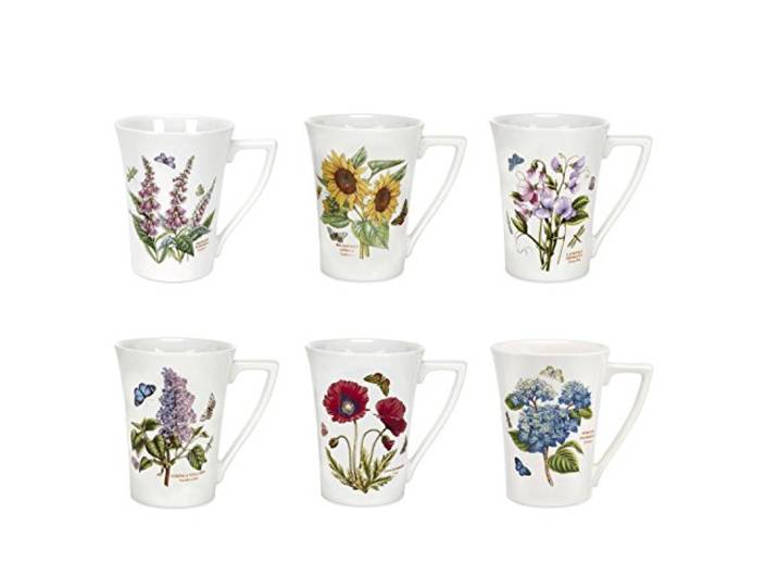 Royal Worcester Botanic Garden Mandarine 6er-Pack Tassen, Keramik, 284 ml, 0,28 l, 11,5 cm, 9 cm hoch, Spülmaschinenfest, Mikrowellengeeignet, Gefriergeeignet, Ovenfest bis 170 °C