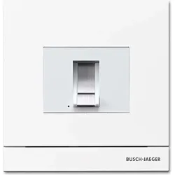 Busch-Jaeger Zutrittskontrolle außen 83100/70-664 2CKA008300A0414