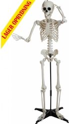 Halloween Dekoration, Klassisk Skelet, 150cm TILBUD NU