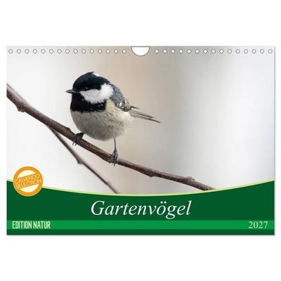 Gartenvögel (Wandkalender 2027 DIN A4 quer), CALVENDO Monatskalender