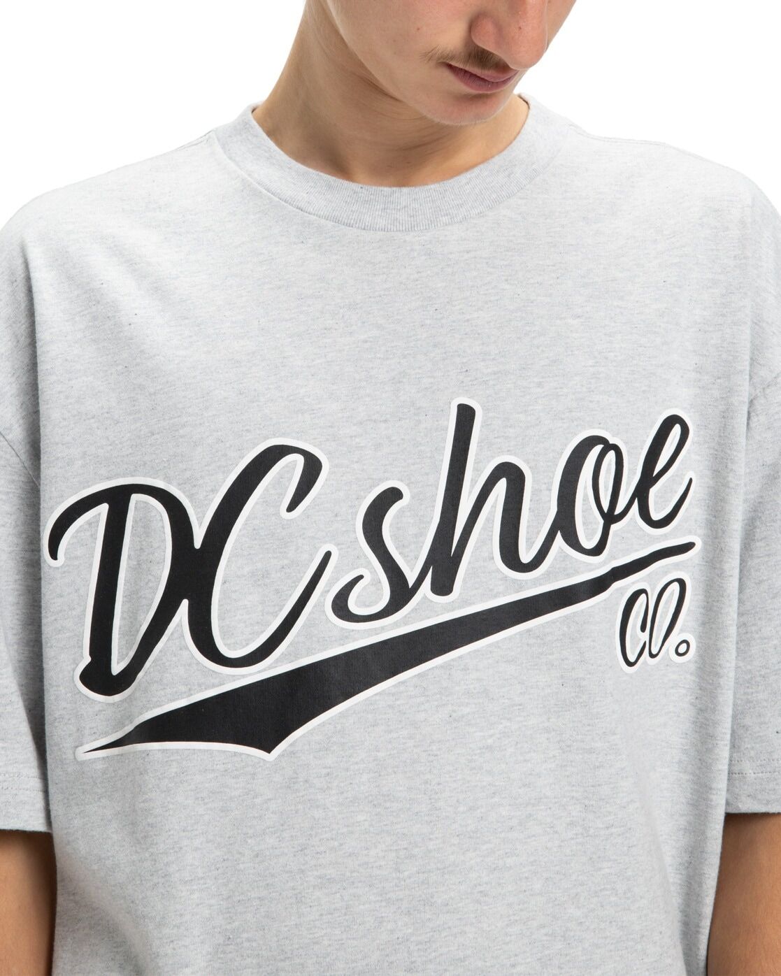T-Shirt DC SHOES "Substitute", Herren, Gr. M, grau (light erdgrau), Obermaterial: 75% Baumwolle, 25% Baumwolle., Shirts T-Shirt
