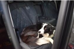 ROONY 6275 Autohundedecke