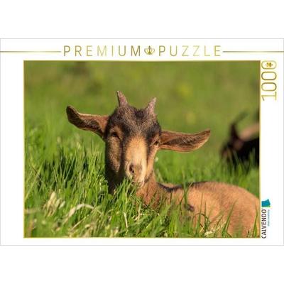 CALVENDO Puzzle Sonnenbaden | 1000 Teile Lege-Größe 64x48cm Foto-Puzzle für glückliche Stunden