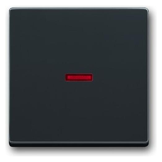 Busch-Jaeger Kontroll-Wippe (2CKA001751A2928)
