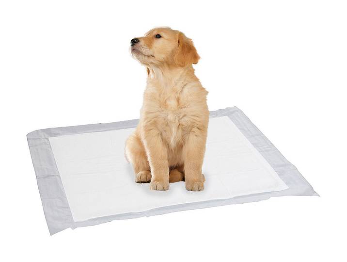 Puppy Pads, 60X60Cm, 15Er Pack