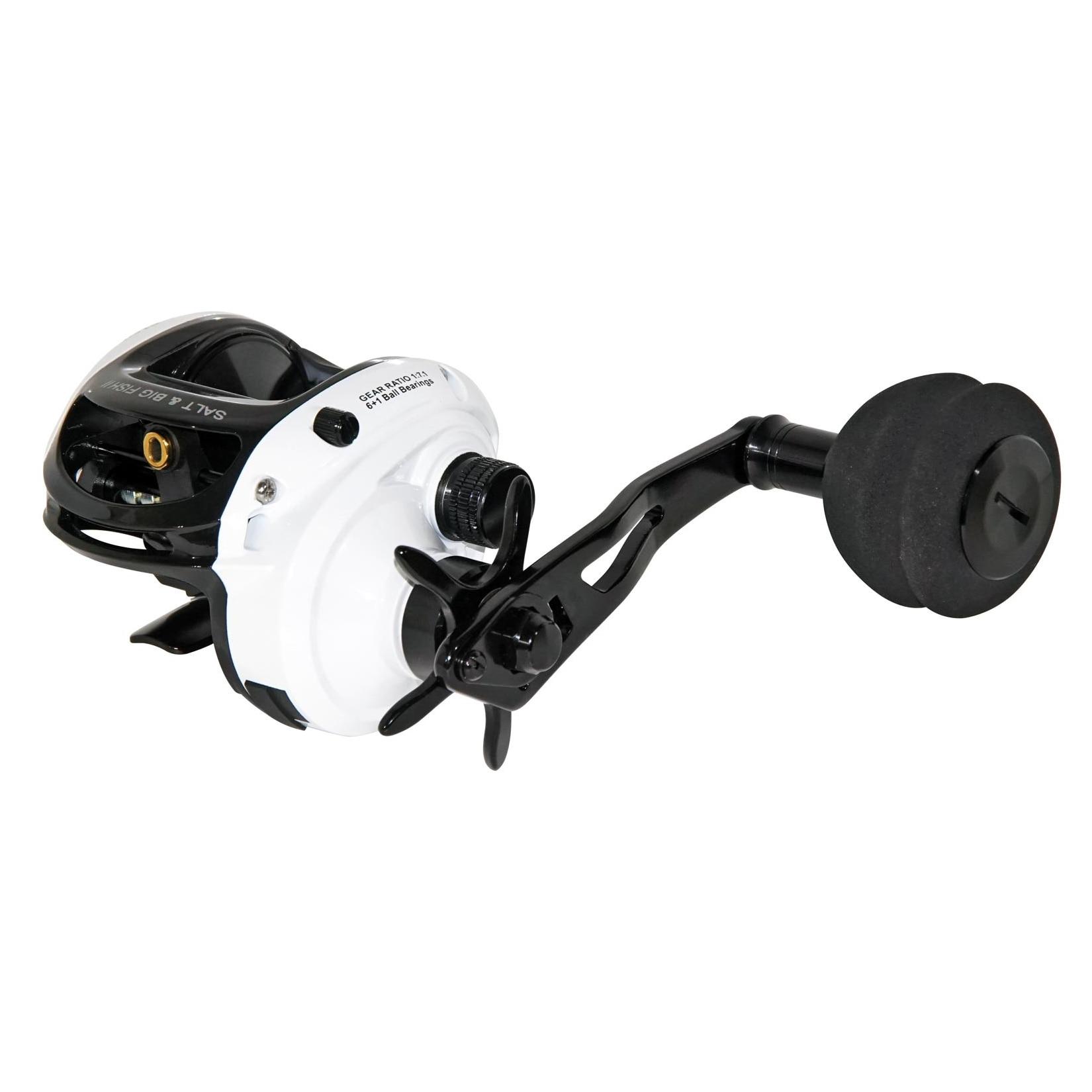 WFT Salt & Big Fish II Baitcastrolle Linkshand