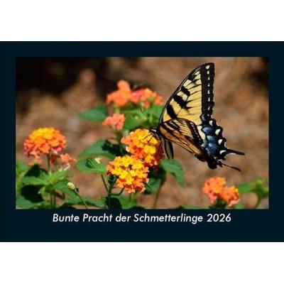 Bunte Pracht der Schmetterlinge 2026 Fotokalender DIN A5