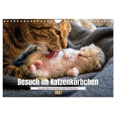 Besuch im Katzenkörbchen (Wandkalender 2027 DIN A4 quer), CALVENDO Monatskalender