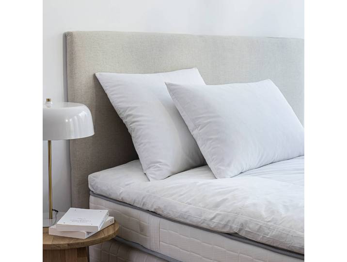 Oreiller naturel Dodo® ferme Proneem® anti-acariens - Blancheporte
