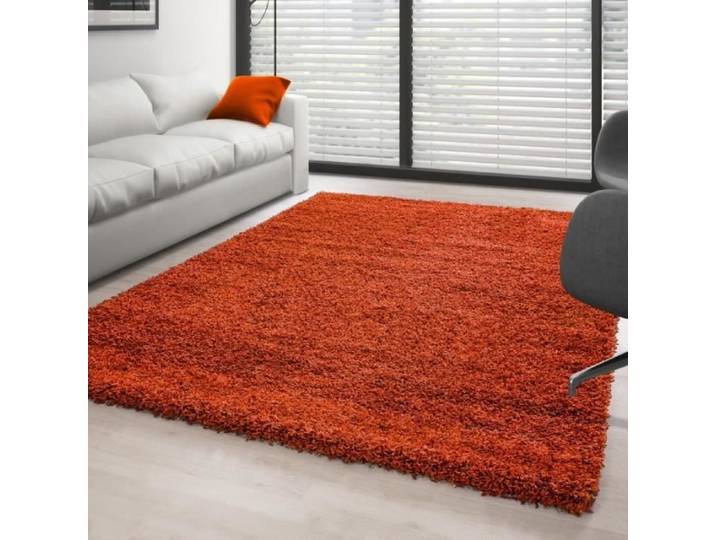 Ayyildiz - Tapis Shaggy pile longue couleur unique TERRACOTTA - (120x170 cm)