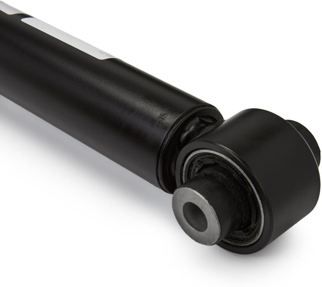 SACHS 318 201 Shock absorber