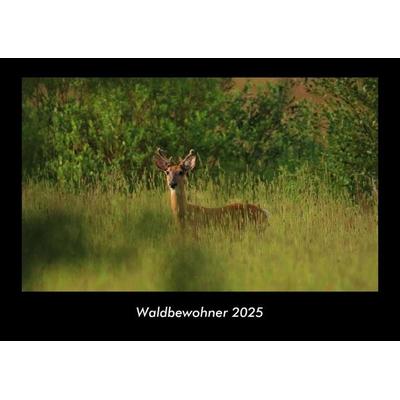 Waldbewohner 2025 Fotokalender DIN A3
