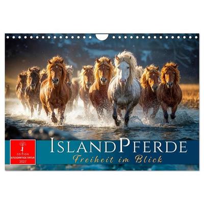 Islandpferde - Freiheit im Blick (Wandkalender 2027 DIN A4 quer), CALVENDO Monatskalender