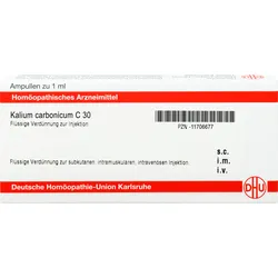 Kalium Carbonicum C30 Ampullen 8 ML