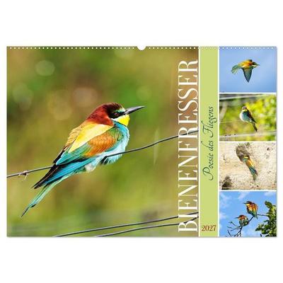 Bienenfresser, Poesie des Fliegens (Wandkalender 2027 DIN A2 quer), CALVENDO Monatskalender