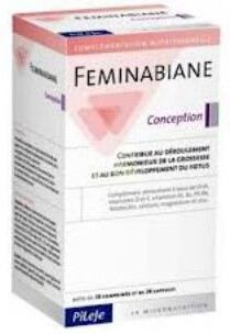 Pileje Feminabiane Concepcion 28