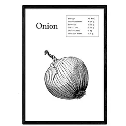POSTER Onion A4 Rahmenlos