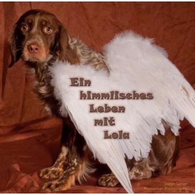 Ein himmlisches Leben mit Lola, Taschenbuch von Stefan Sattler, Tredition, 978-3-347-23573-1