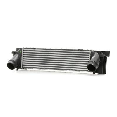 RIDEX Ladeluftkühler BMW 468I0085 17517600530,4881356 Intercooler