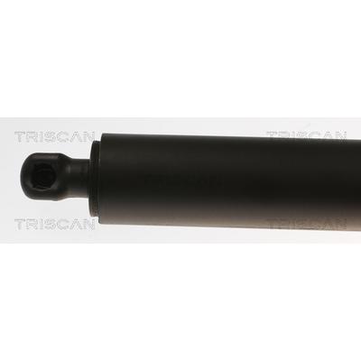 TRISCAN Gasfeder, Koffer-/Laderaum 871081201 für Tesla