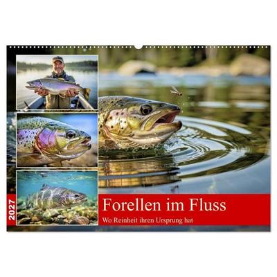 Forellen im Fluss (Wandkalender 2027 DIN A2 quer), CALVENDO Monatskalender