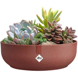 Elho, Blumentopf, Jazz Bowl (28 x 9 cm)