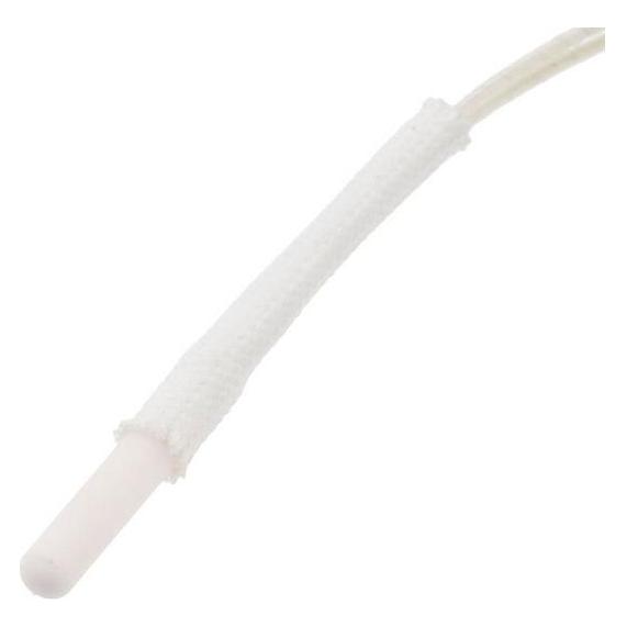 RS PRO PT100 thermocouple 2 wire 300mm (1104460)