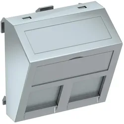 OBO Bettermann Datentechnikträger DTS-2F AL1 6119260