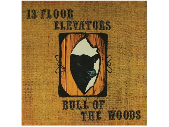 Bull of the Woods