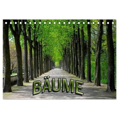 Bäume 2027 (Tischkalender 2027 DIN A5 quer), CALVENDO Monatskalender