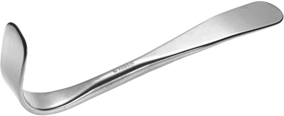 Facom Hebel- und Ausbeuleisen flach, gebogen (876A)