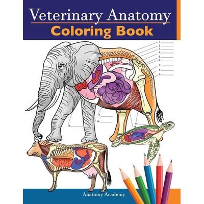 Veterinary Anatomy Coloring Book, Taschenbuch von Anatomy Academy, Muze Publishing, 978-1-83818-860-3