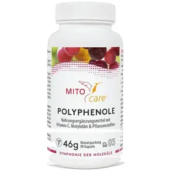 Polyphenole Mitocare