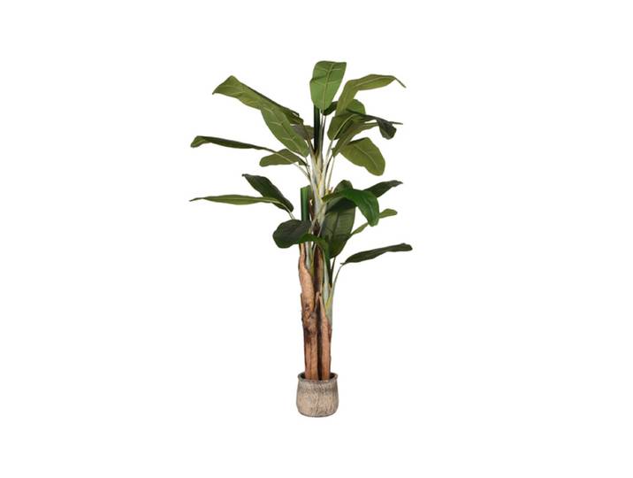 LABEL51 Musa - Groen - Kunststof - 180 cm