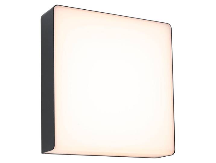 Paulmann LED Applique murale d'extérieur Azalena Détecteur de mouvement àcrépusculaire (HF)