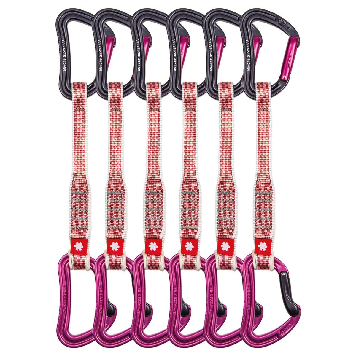 Ocun Raven QD Zoom 20 cm 6-pack pink 05600