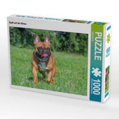 CALVENDO Puzzle Spaß auf der Wiese | 1000 Teile Lege-Größe 64x48cm Foto-Puzzle für glückliche Stunden