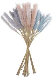 IH Casa Decor Pampas Pick - Set of 6 - Multi