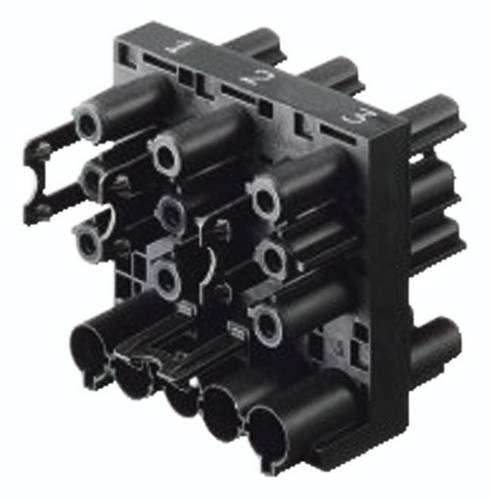 Bachmann Verteiler Schwarz