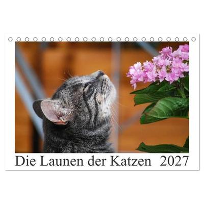 Die Launen der Katzen 2027 (Tischkalender 2027 DIN A5 quer), CALVENDO Monatskalender
