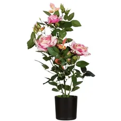meet Kunstpflanze »Rosenstock« 54 cm rosa, 54 cm