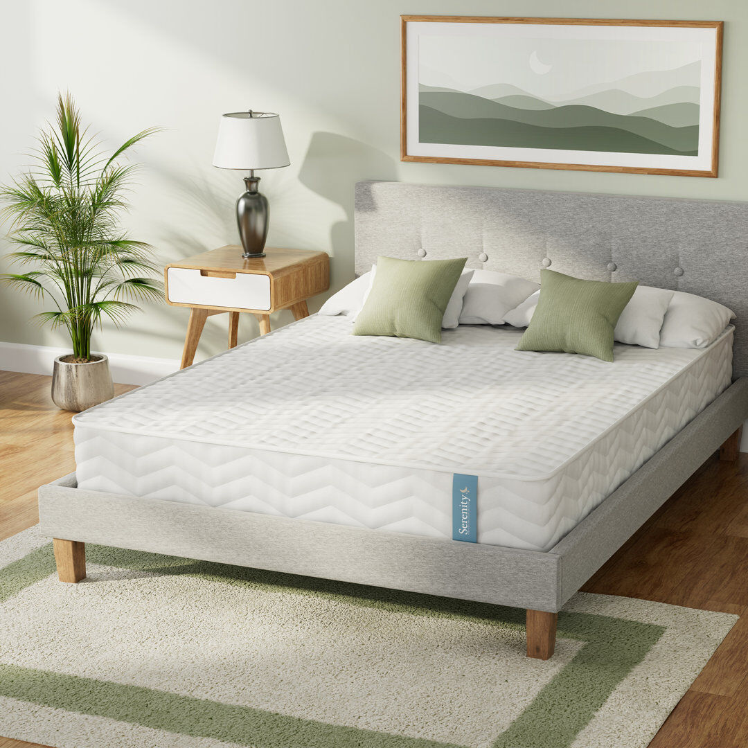 Wayfair Sleep Overly Serenity Coil Spring and Memory Foam Hybrid Mattress 18cm Single (3')