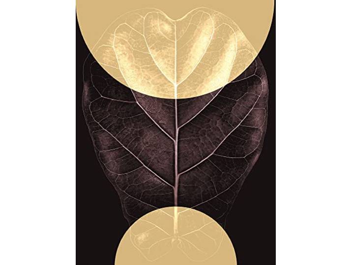 Komar Wandbild - Shadow Theatre - Größe: 30 x 40 cm - Poster, Kunstdruck, Dekoration, Wohnzimmer, Schlafzimmer