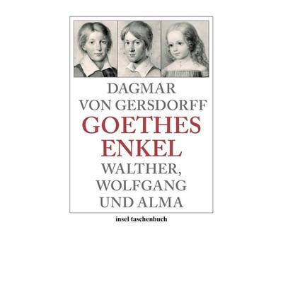 Goethes Enkel, Taschenbuch von Dagmar Gersdorff, Insel, 978-3-458-35050-7