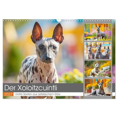 Der Xoloitzcuintli. Uralte Seelen aus aztekischem Erbe (Wandkalender 2027 DIN A3 quer), CALVENDO Monatskalender