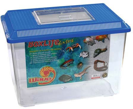 CROCI Boxlife Extra 1 PZ