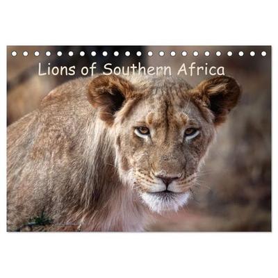 Lions of Southern Africa (Desk Calendar 2027 DIN A5 landscape), CALVENDO 12 Month DeskCalendar