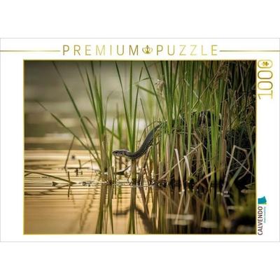 CALVENDO Puzzle Tiere, die im Verborgenen tanzen. | 1000 Teile Lege-Größe 64x48cm Foto-Puzzle für glückliche Stunden, von , Calvendo Puzzle