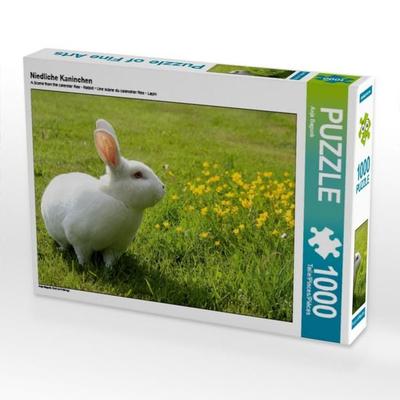 CALVENDO Puzzle Niedliche Kaninchen 1000 Teile Puzzle quer | 1000 Teile Lege-Größe 64 × 48 cm Foto-Puzzle für glückliche Stunden