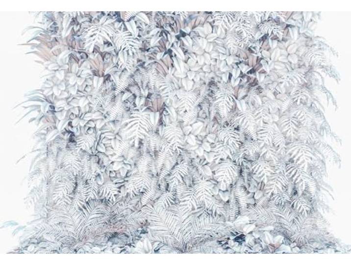 Photo Murale\, 368cm x 254cm\, Jardin Vertical